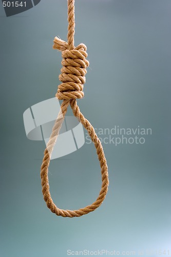 Image of Noose