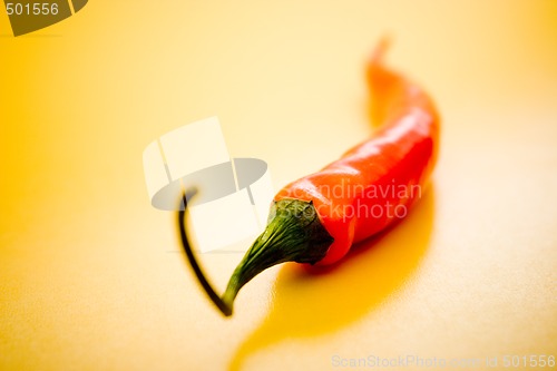 Image of Red Chili Pepper