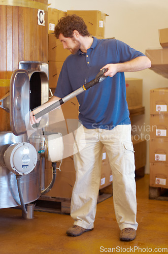 Image of Beer, distillery and person manufacturing alcohol drink in the brewery industry or working on the fermentation process. Product, labour and young man making a craft in a storage or warehouse