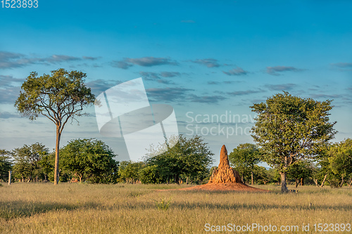 Image of African landscape, Namibia, Africa wilderness