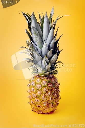 Image of Pineapple