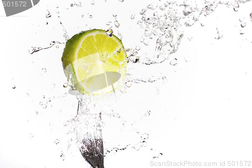 Image of Lime Splash