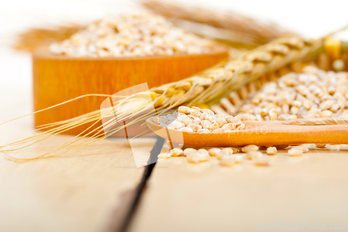 Image of organic barley grains