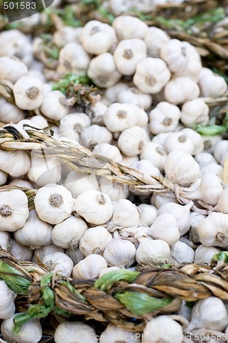 Image of Garlic