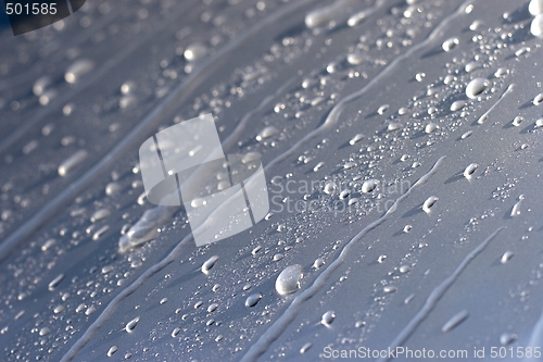 Image of Water droplets