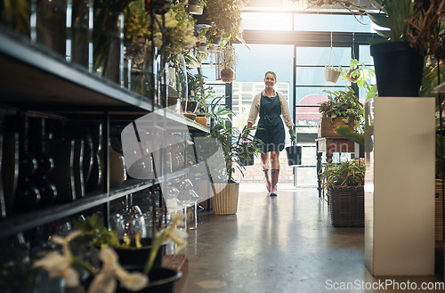 Image of Flowers, young florist carrying plants in buckets and in plant nursery with lens flare. Agriculture or carbon footprint, eco friendly environment and female worker in small business in flower retail