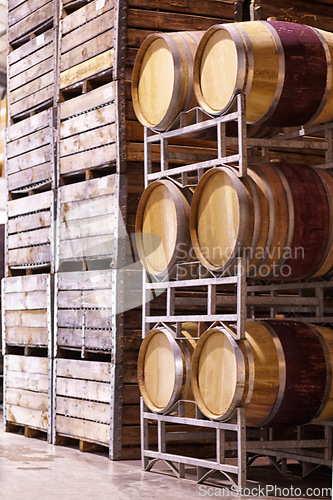 Image of Wine, storage and oak barrels in a cellar for the production, manufacturing or fermentation of alcohol. Stock, wood container and industry with beverage produce in a warehouse, plant or factory