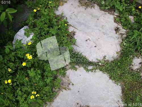 Image of Stone