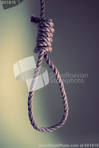 Image of Noose