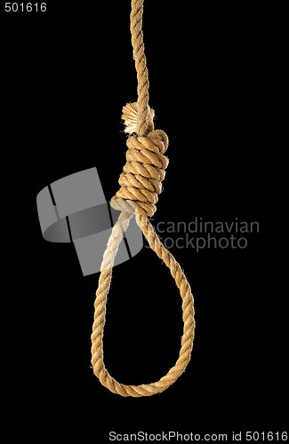 Image of Noose