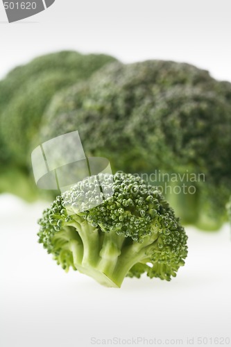Image of Broccoli