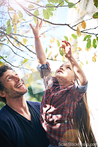 Image of Father, girl and bonding in fall nature, trees and backyard garden in autumn or child, touching leaf and branch. Young parent, little kid and happy together in green, outdoor and natural environment