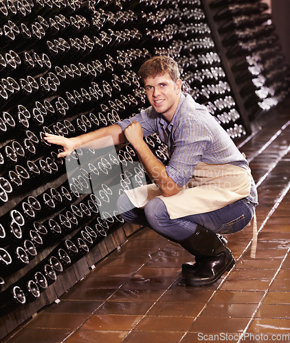 Image of Portrait, man and counting bottles of wine in cellar, warehouse or factory. Alcohol, manufacturing and male person count, happy inspection or quality control at production plant, winery or distillery