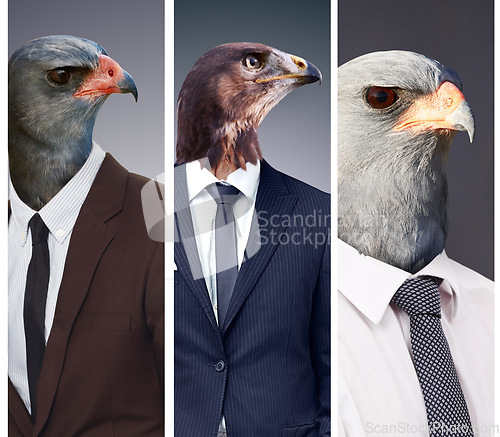 Image of Collage, leadership and animal head or business people or alpha surrealism with eagle boss on studio background. Abstract, hawk and predator or corporate power birds or wild or strong and dangerous