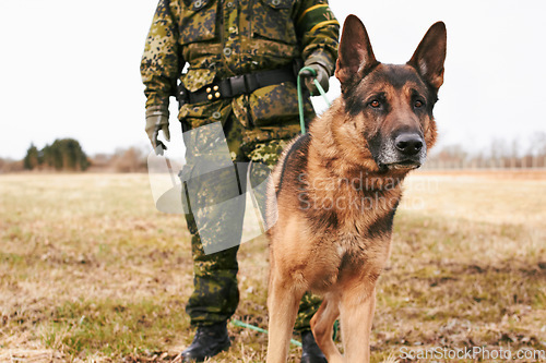 Image of Portrait, focus and german shepherd or service dog or security in uniform and male soldier with puppy on leash outdoors. Military, courage and pet ready for army mission or tactical recruit in gear