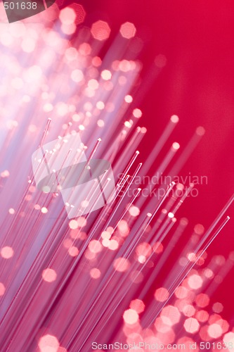 Image of Optical Fibers