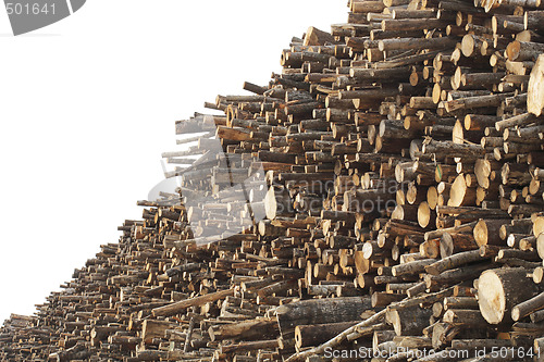 Image of Log pile