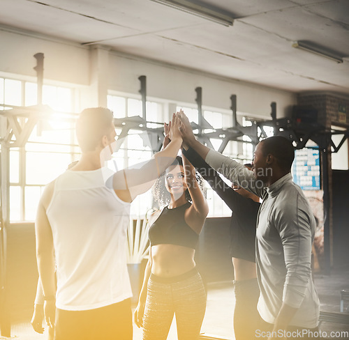 Image of Celebration, high five and teamwork of people in gym for fitness, team building or solidarity. Collaboration, group of happy friends and celebrate workout targets, goal or support with lens flare.