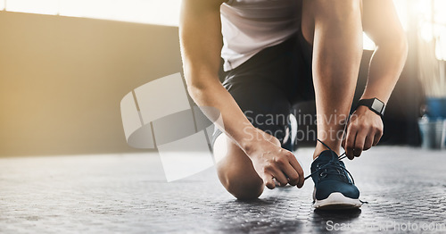 Image of Sports, athlete and man tie shoes in a gym before workout for health, wellness and endurance training. Fitness, sneakers and closeup of male person tying laces to start a exercise in sport center.