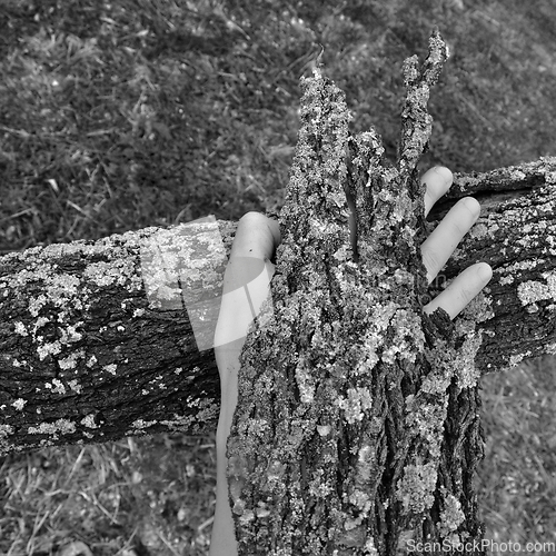 Image of bark peel covered hand