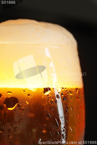 Image of Beer