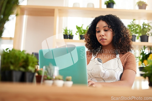 Image of Laptop, store and plant with woman in small business for planning, networking and website. Entrepreneurship, startup and technology with female botanist for nature, green and garden shop