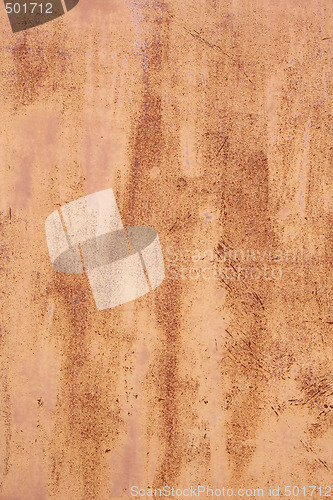 Image of Rusty