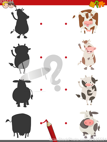 Image of shadow activity with cow animals