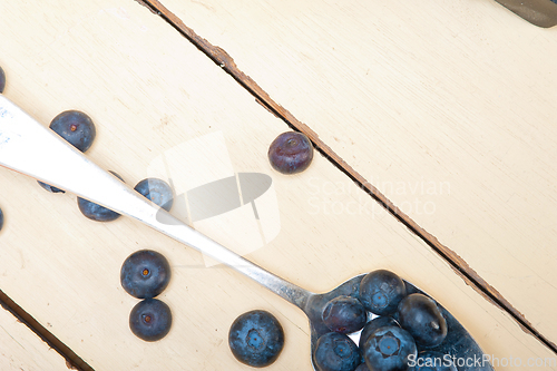 Image of fresh blueberry on silver spoon