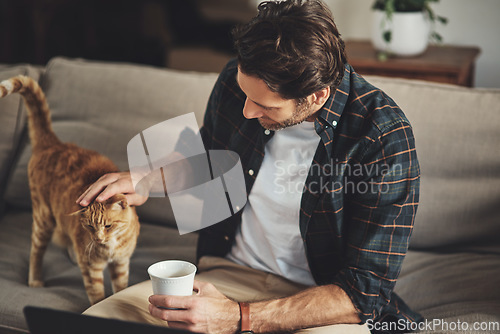 Image of Love, coffee and man with his cat on a sofa to relax and bond together in his modern home. Rest, animal and male person rubbing his kitten pet with care while drinking a latte in living room at home.