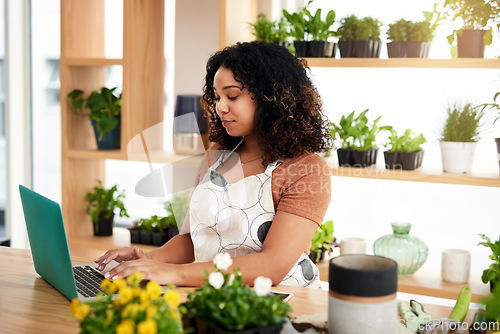 Image of Laptop, inventory and plant with woman in small business for planning, networking and website. Entrepreneurship, startup and technology with female botanist for nature, green and garden shop