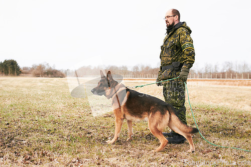 Image of Male officer, military uniform and german shepherd on leash or dog guarding territory and outdoors. Soldier, pet with rope and in the field for army training or drills or man official in gear outside