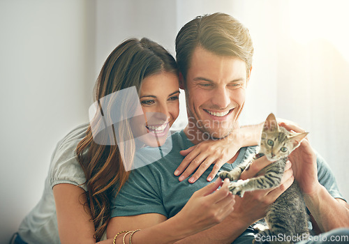 Image of Kitten, love or happy young couple play and in their home. Support or caring, smiling people with animal and happy family with cat pet spending quality or bonding time in living room at house