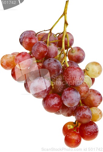 Image of bunch of grapes