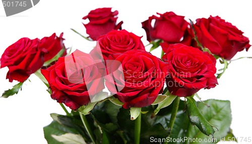 Image of Red roses