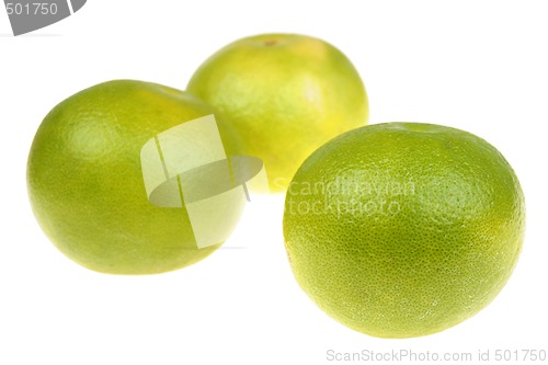 Image of Grapefruits