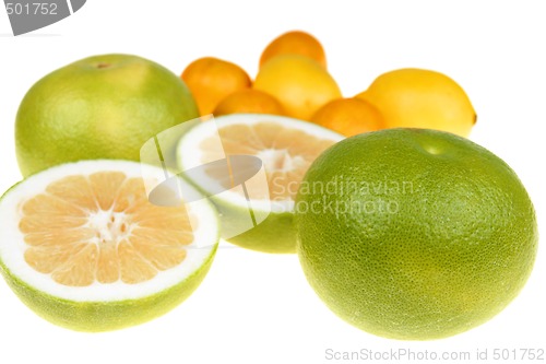 Image of Citrus fruits
