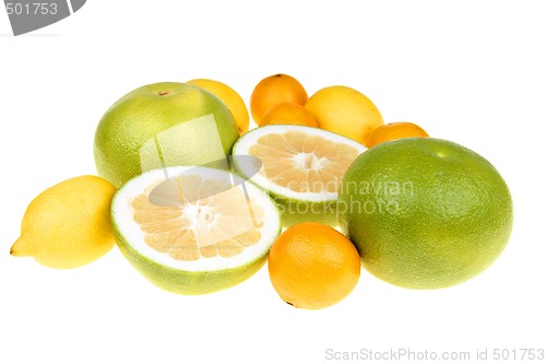 Image of Citrus fruits