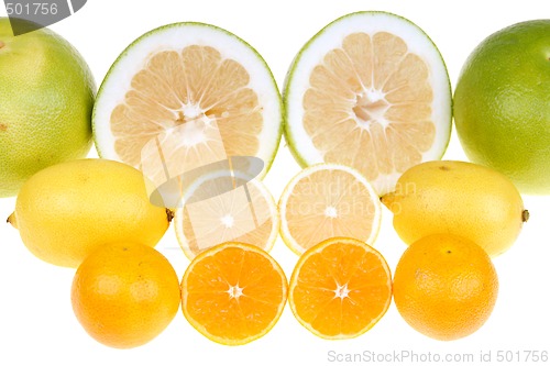 Image of Citrus fruits