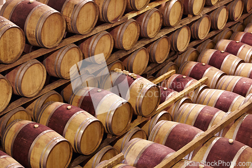 Image of Storage, winery cellar and wood barrel collection or red wine, alcohol and luxury, vineyard industry container and process. No people, warehouse and expensive vintage, drink vault or grape business