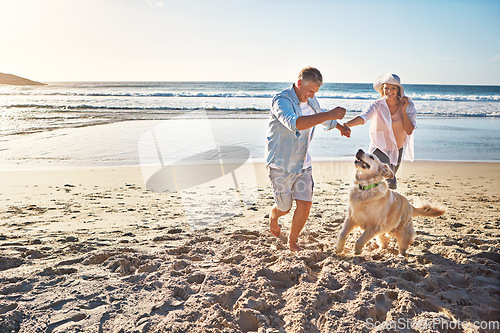 Image of Happy couple, holding hands and at the beach with a dog in summer for retirement travel in Indonesia. Smile, playful and an elderly man and woman on a walk at the sea with a pet for play and holiday