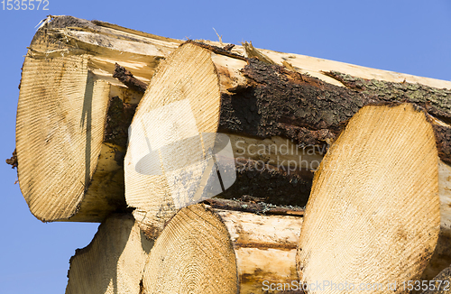 Image of pine and other hard wood