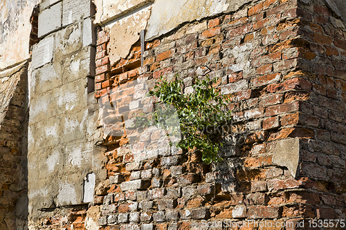 Image of destroyed old brick wall