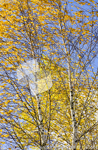 Image of autumn landscape