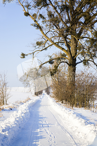 Image of road with traces