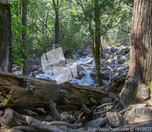 Image of Yosemite National Park