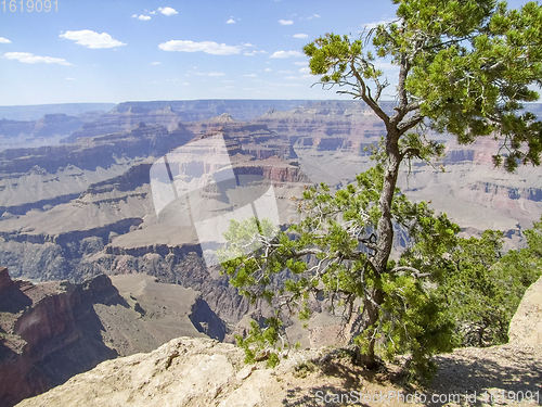 Image of Grand Canyon in Arizona