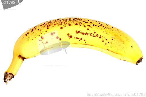 Image of Banana