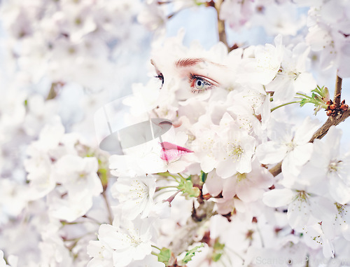 Image of Woman, flowers and double exposure with cherry blossom tree in nature outdoor. Spring, female model and creative art with flower and beauty with blooming or winter plants overlay with a lady thinking