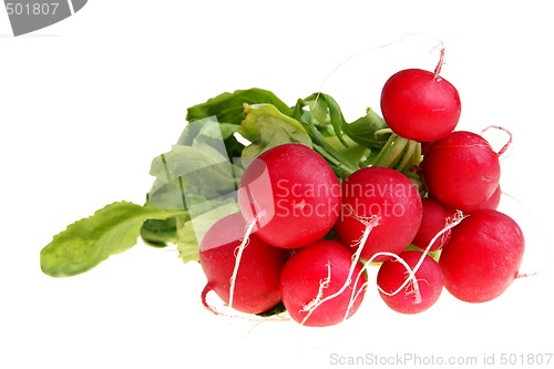 Image of Bunch of radish